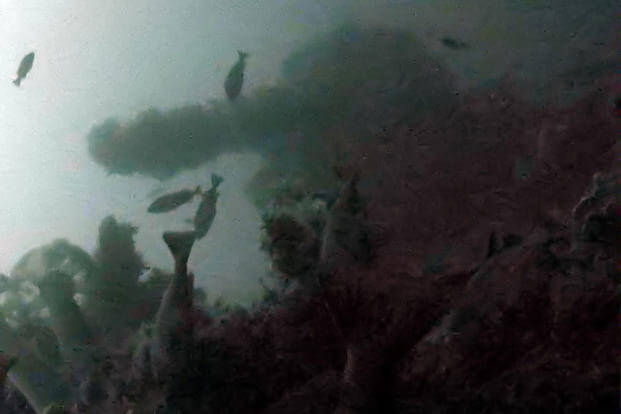 The number 5 (aft deck) five-inch gun of the USS Abner Read imaged via the project’s remotely operated vehicle. (Image courtesy of Kiska: Alaska's Underwater Battlefield expedition)