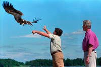 President Bill Clinton watches as an American Bald Eagle is released into the wild.
